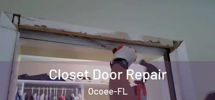 Closet Door Repair Ocoee-FL