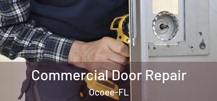  Commercial Door Repair Ocoee-FL