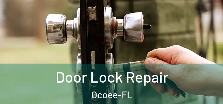 Door Lock Repair Ocoee-FL