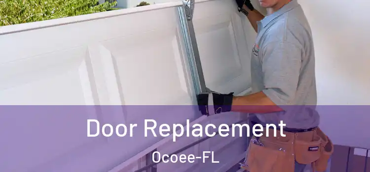 Door Replacement Ocoee-FL