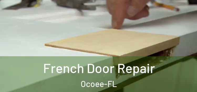 French Door Repair Ocoee-FL
