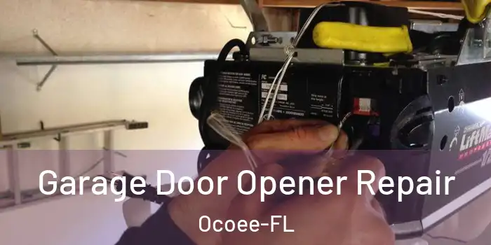 Garage Door Opener Repair Ocoee-FL