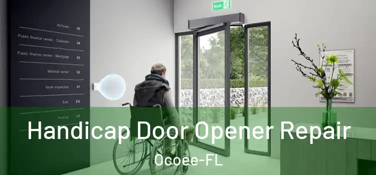 Handicap Door Opener Repair Ocoee-FL