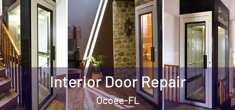 Interior Door Repair Ocoee-FL
