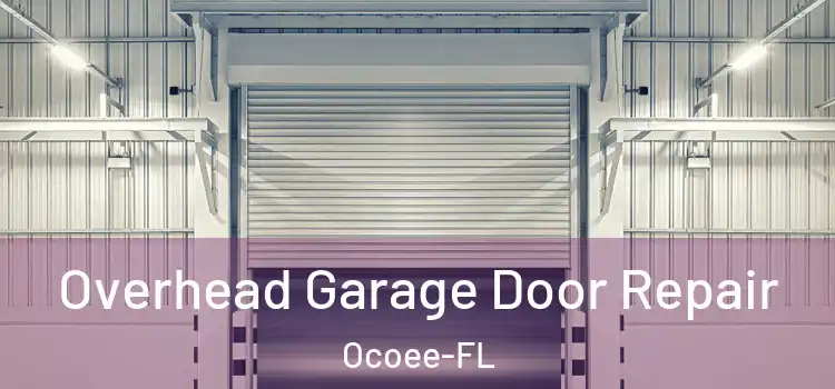 Overhead Garage Door Repair Ocoee-FL