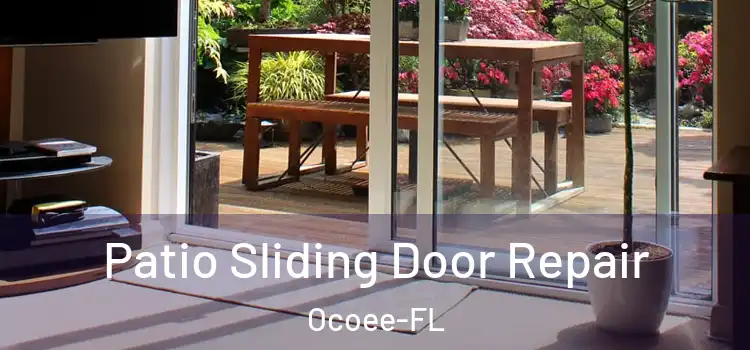 Patio Sliding Door Repair Ocoee-FL