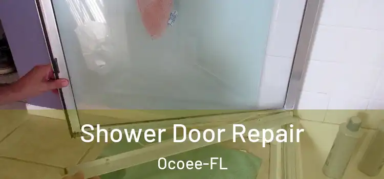 Shower Door Repair Ocoee-FL