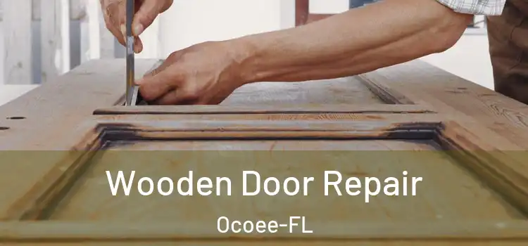 Wooden Door Repair Ocoee-FL
